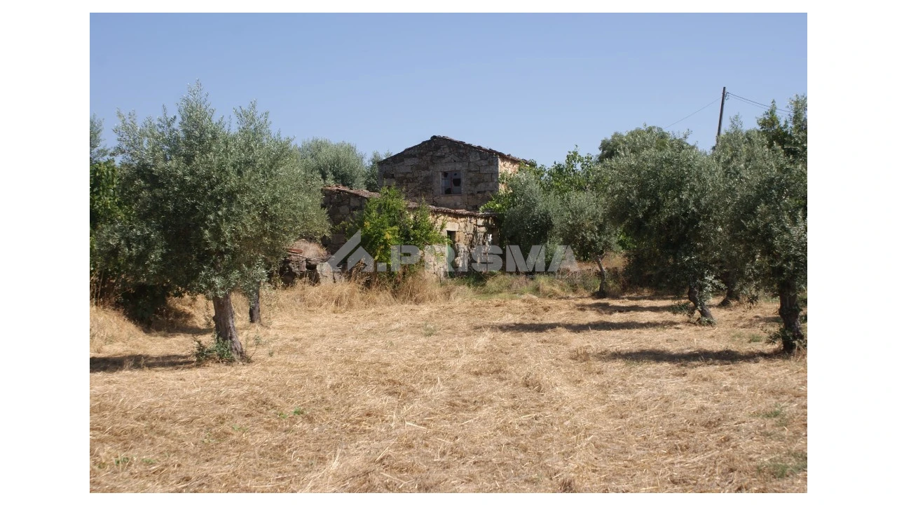 Terreno para Venda em Freixial e Juncal do Campo Foto 30