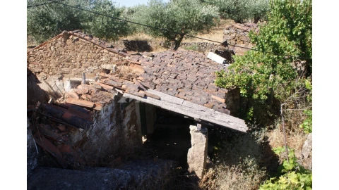 Terreno para Venda em Freixial e Juncal do Campo