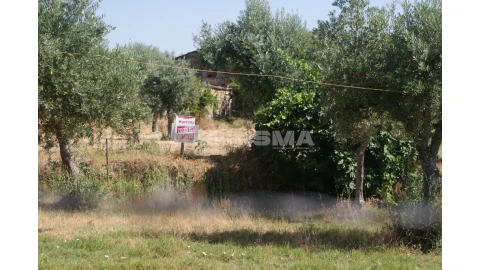 Terreno para Venda em Freixial e Juncal do Campo