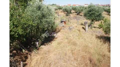 Terreno para Venda em Freixial e Juncal do Campo