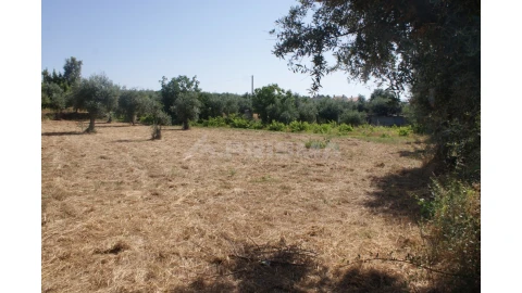Terreno para Venda em Freixial e Juncal do Campo