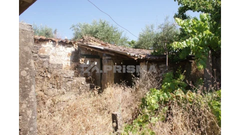 Terreno para Venda em Freixial e Juncal do Campo