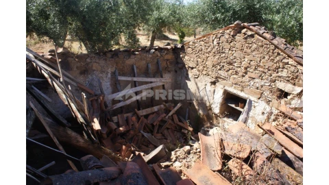 Terreno para Venda em Freixial e Juncal do Campo