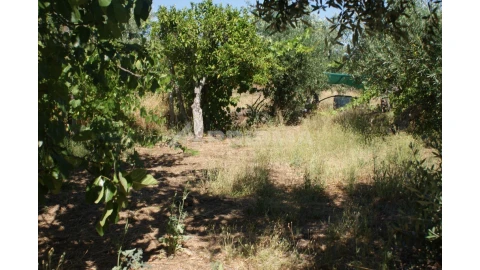 Terreno para Venda em Freixial e Juncal do Campo