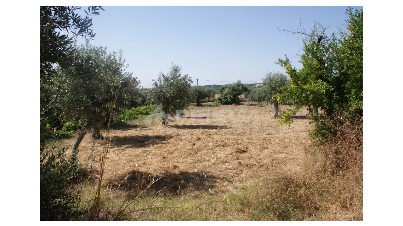 Terreno para Venda em Freixial e Juncal do Campo Foto 33