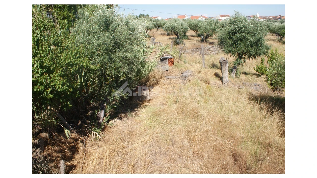 Terreno para Venda em Freixial e Juncal do Campo Foto 3