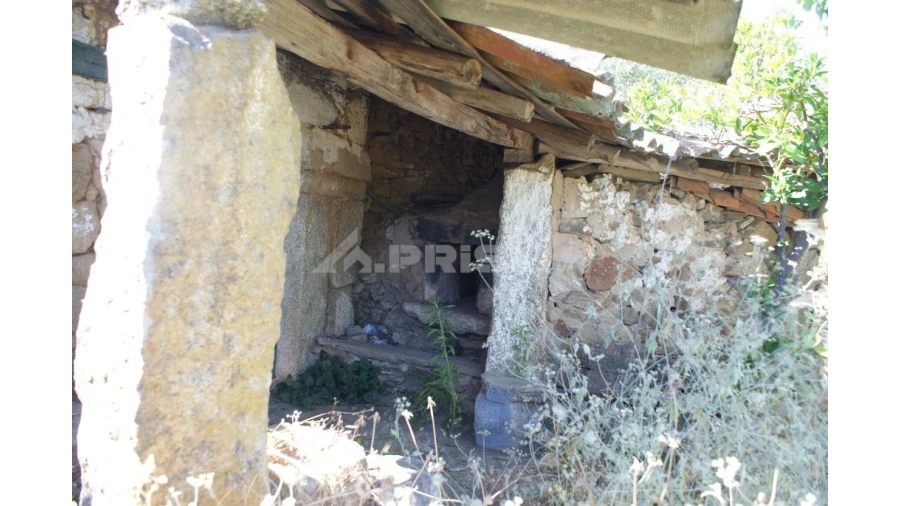 Terreno para Venda em Freixial e Juncal do Campo Foto 14