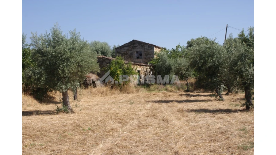 Terreno para Venda em Freixial e Juncal do Campo Foto 30