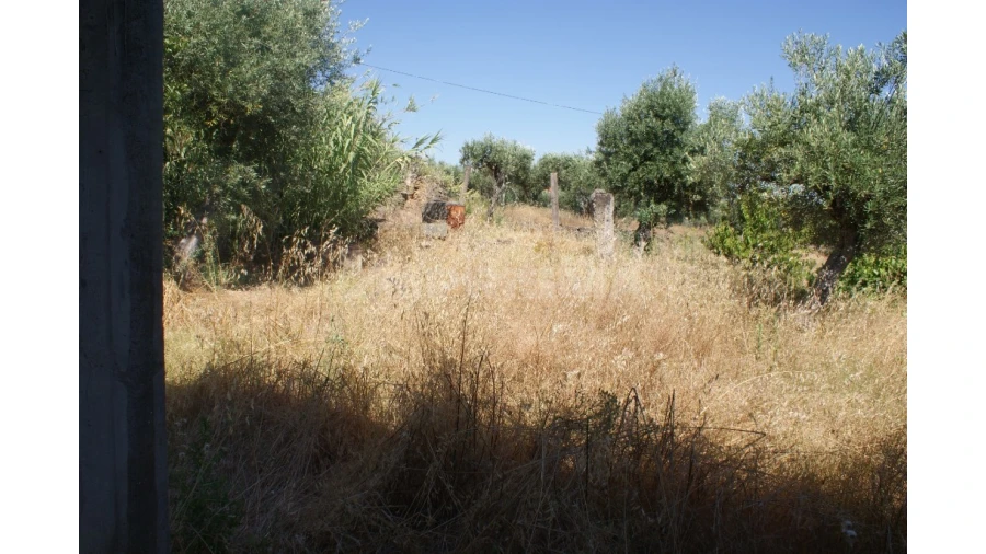 Terreno para Venda em Freixial e Juncal do Campo Foto 13