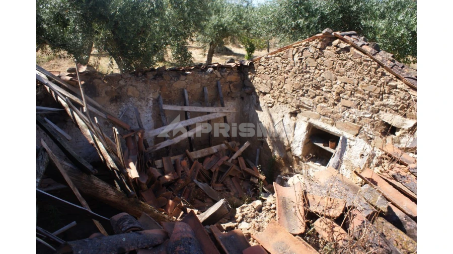 Terreno para Venda em Freixial e Juncal do Campo Foto 17
