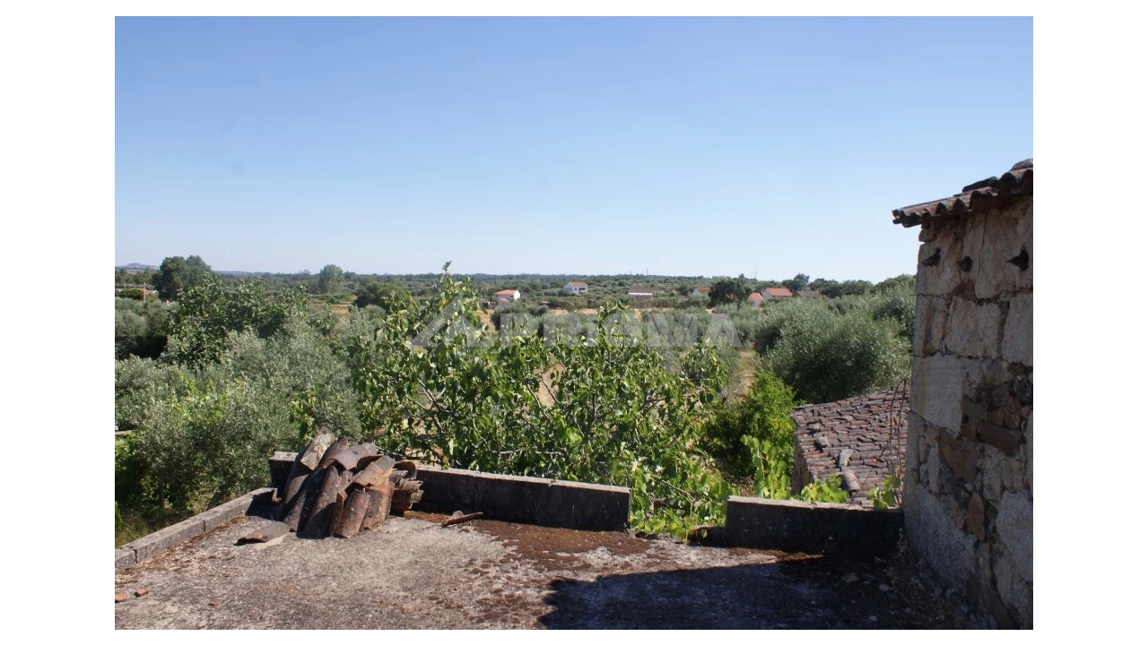 Terreno para Venda em Freixial e Juncal do Campo Foto 18