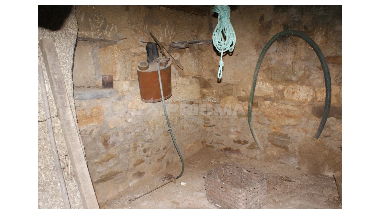 Terreno para Venda em Freixial e Juncal do Campo Foto 26