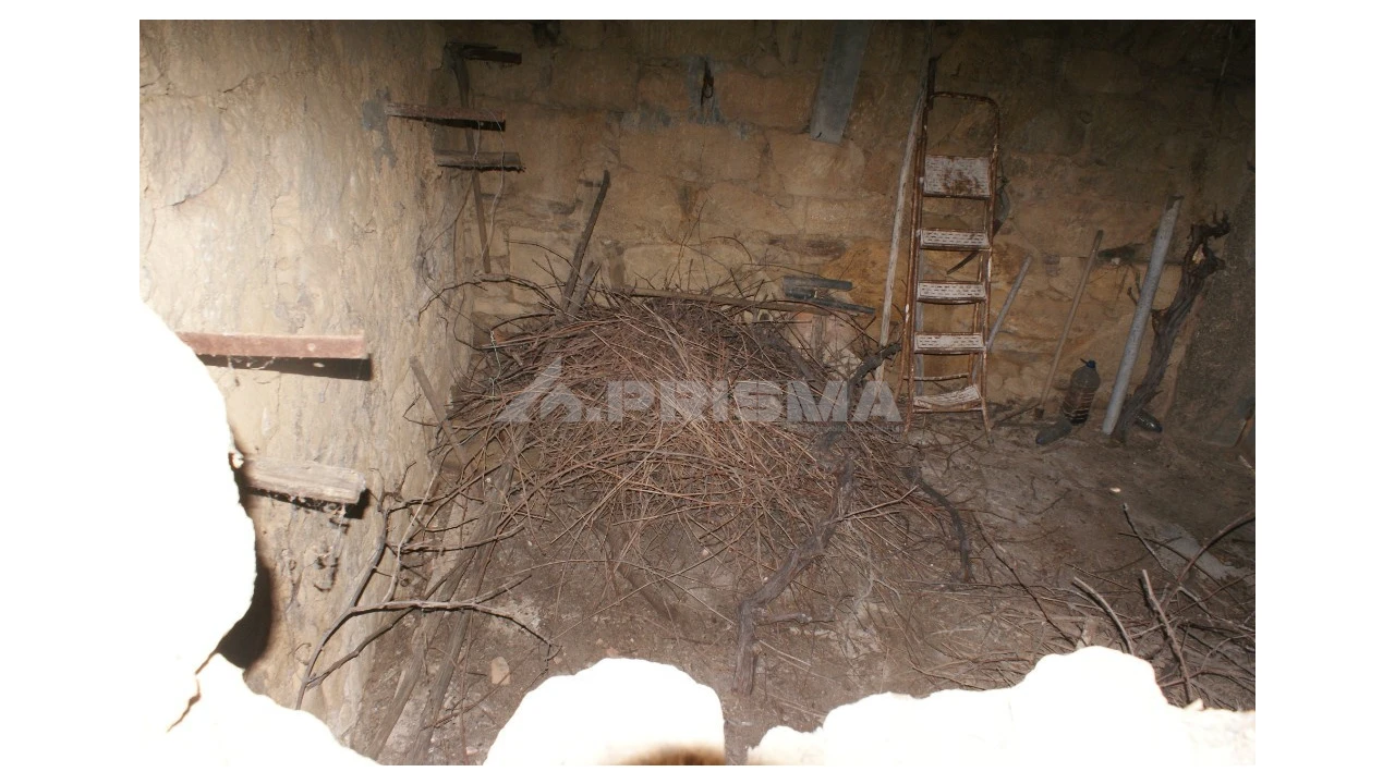 Terreno para Venda em Freixial e Juncal do Campo Foto 10