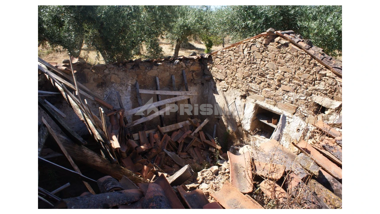Terreno para Venda em Freixial e Juncal do Campo Foto 17