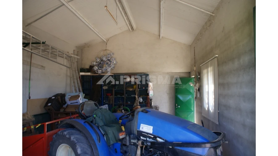 Terreno para Venda em Vale de Prazeres e Mata da Rainha Foto 28