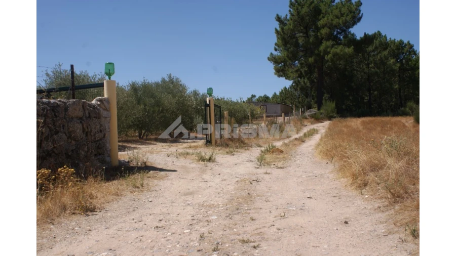 Terreno para Venda em Vale de Prazeres e Mata da Rainha Foto 2