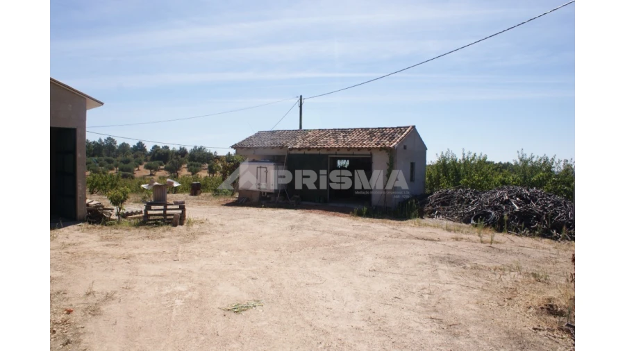 Terreno para Venda em Vale de Prazeres e Mata da Rainha Foto 26