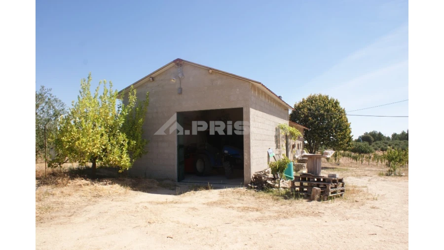 Terreno para Venda em Vale de Prazeres e Mata da Rainha Foto 27