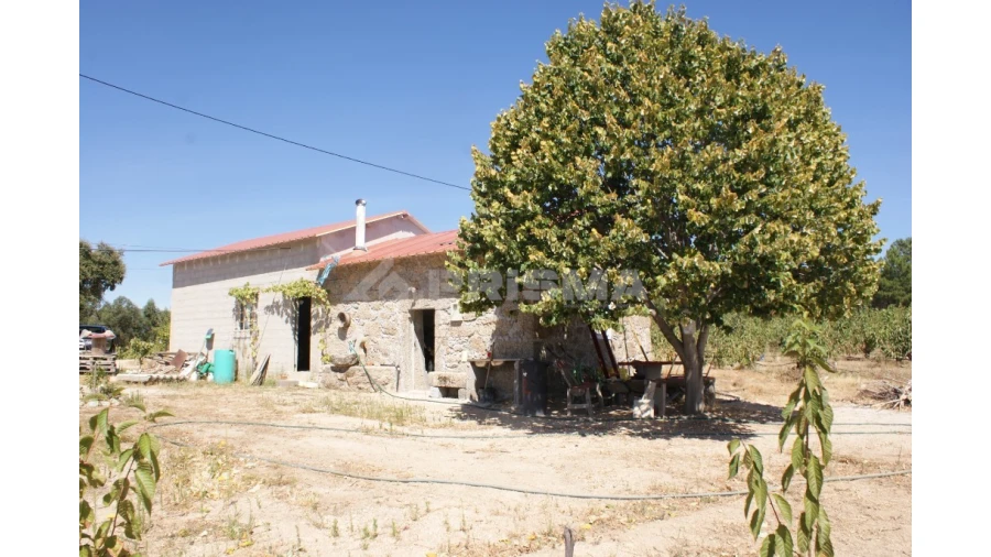 Terreno para Venda em Vale de Prazeres e Mata da Rainha Foto 30