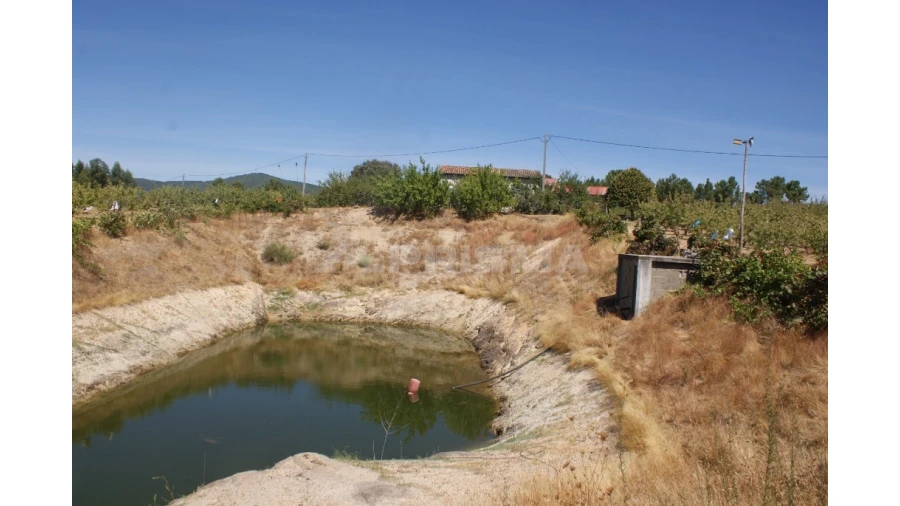 Terreno para Venda em Vale de Prazeres e Mata da Rainha Foto 17