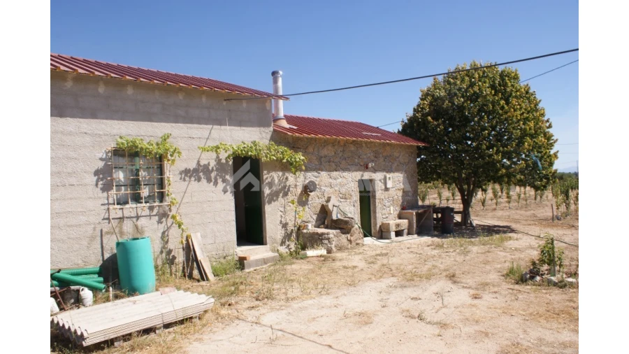 Terreno para Venda em Vale de Prazeres e Mata da Rainha Foto 10