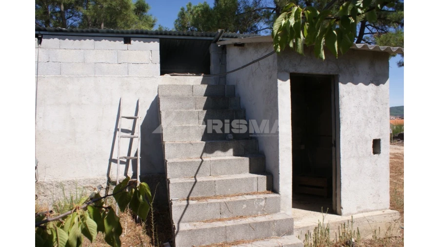 Terreno para Venda em Vale de Prazeres e Mata da Rainha Foto 15