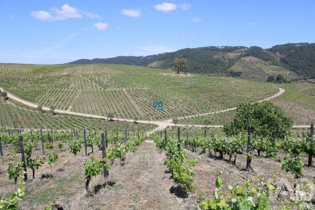 Moradia T6 para Venda em Gondar Foto 25