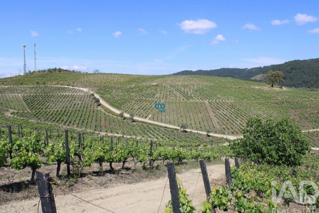 Moradia T6 para Venda em Gondar Foto 26