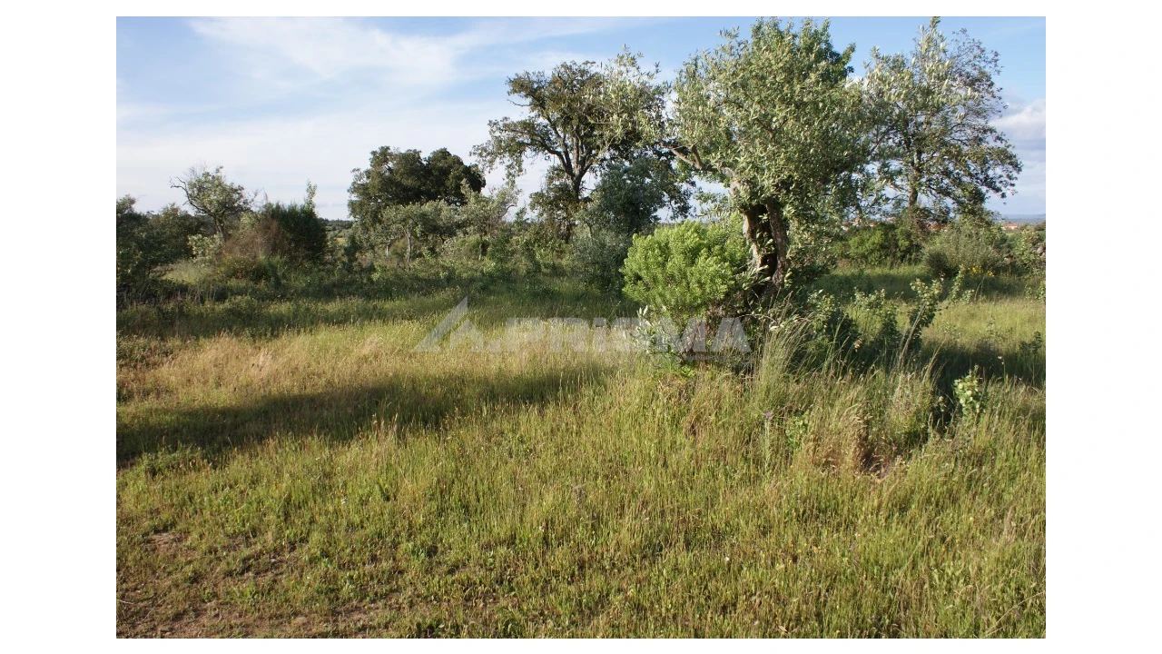 Terreno para Venda em Escalos de Baixo e Mata Foto 2