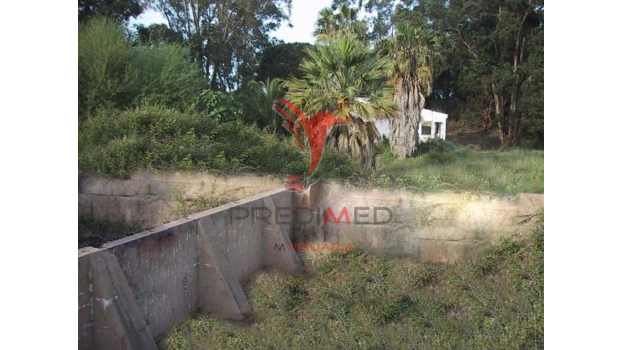 Terreno para Venda em Montenegro Foto 2