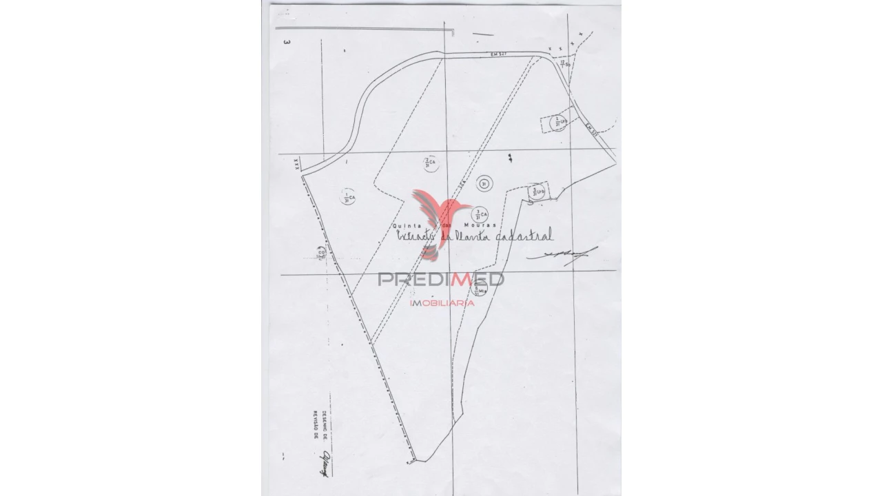 Terreno para Venda em Montenegro Foto 7