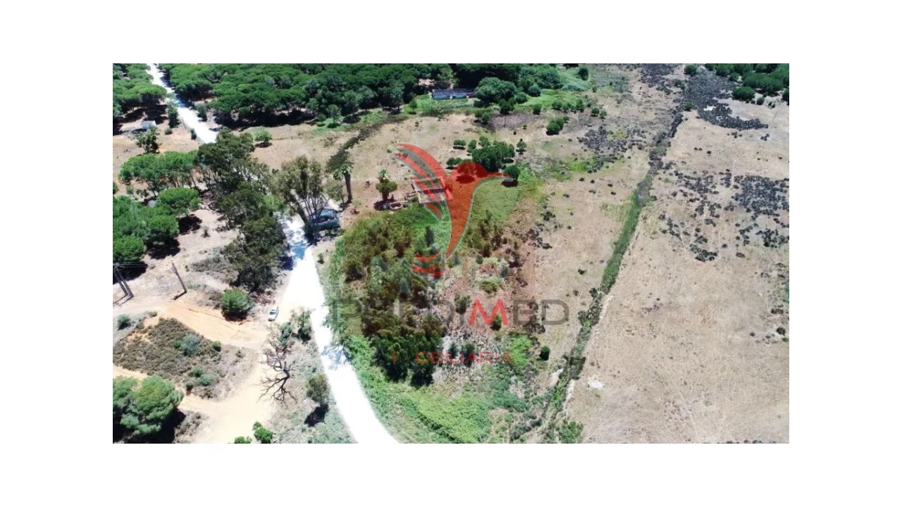 Terreno para Venda em Montenegro Foto 12