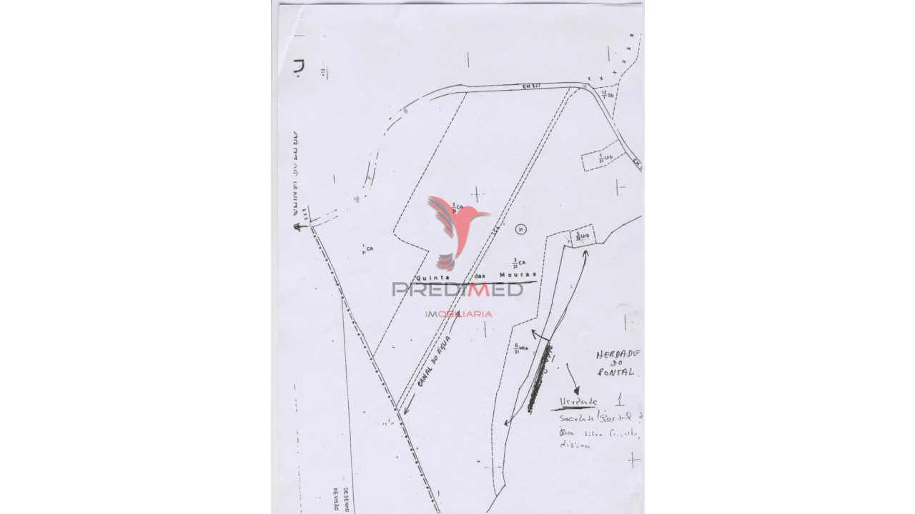 Terreno para Venda em Montenegro Foto 8