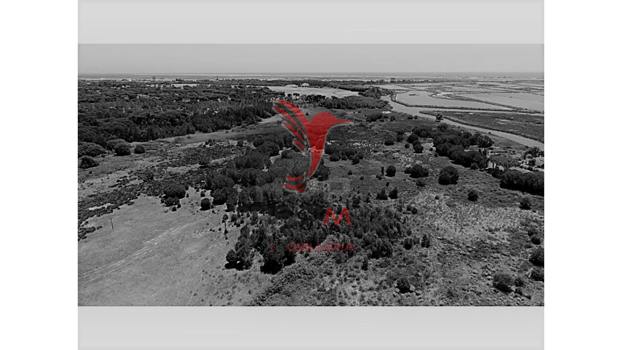 Terreno para Venda em Montenegro Foto 16