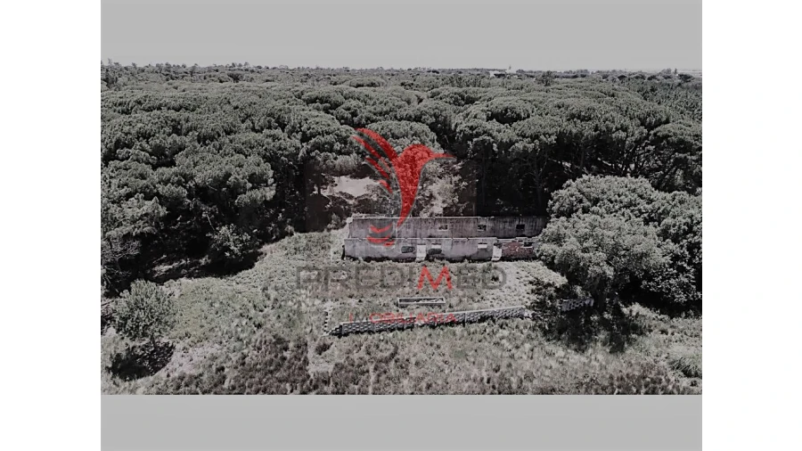 Terreno para Venda em Montenegro Foto 9