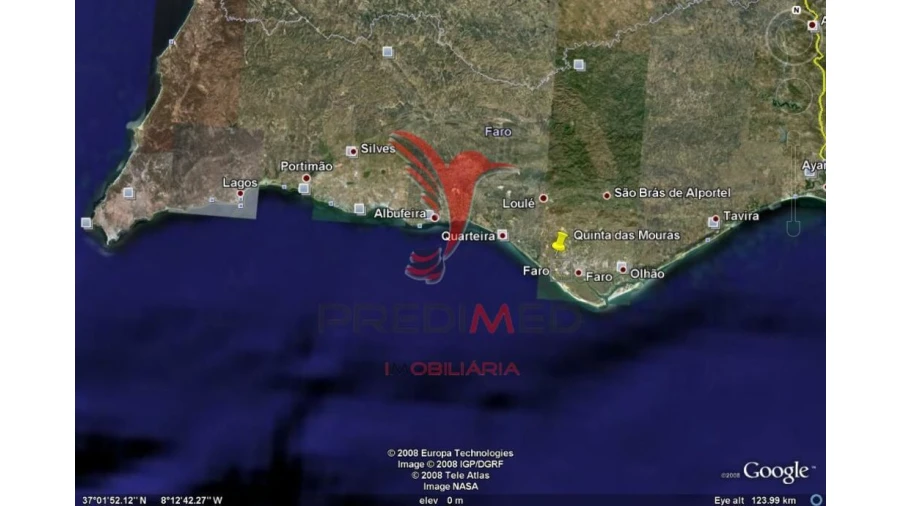 Terreno para Venda em Montenegro Foto 3