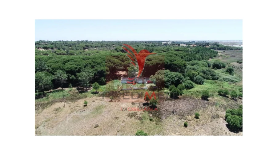 Terreno para Venda em Montenegro Foto 17