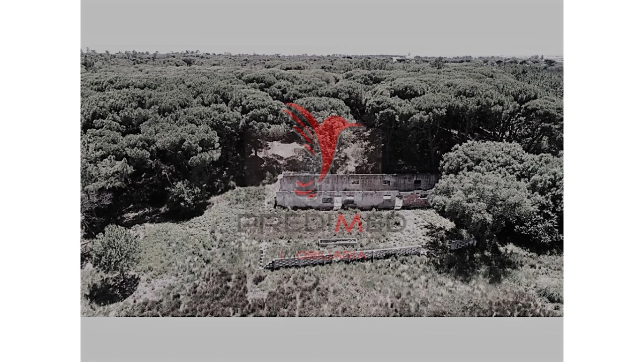 Terreno para Venda em Montenegro Foto 9