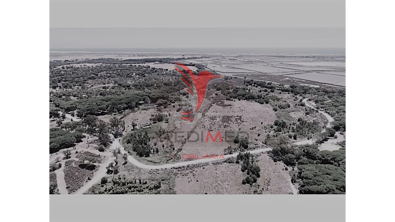 Terreno para Venda em Montenegro Foto 11