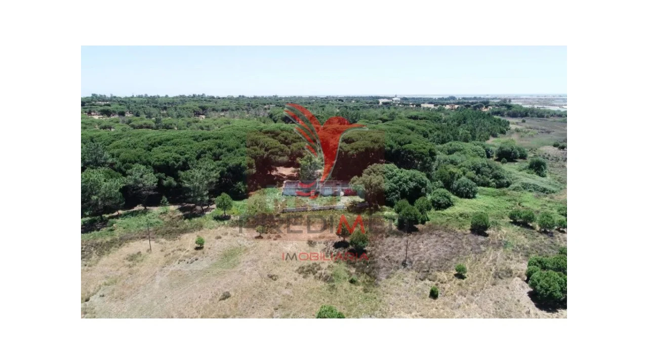 Terreno para Venda em Montenegro Foto 17