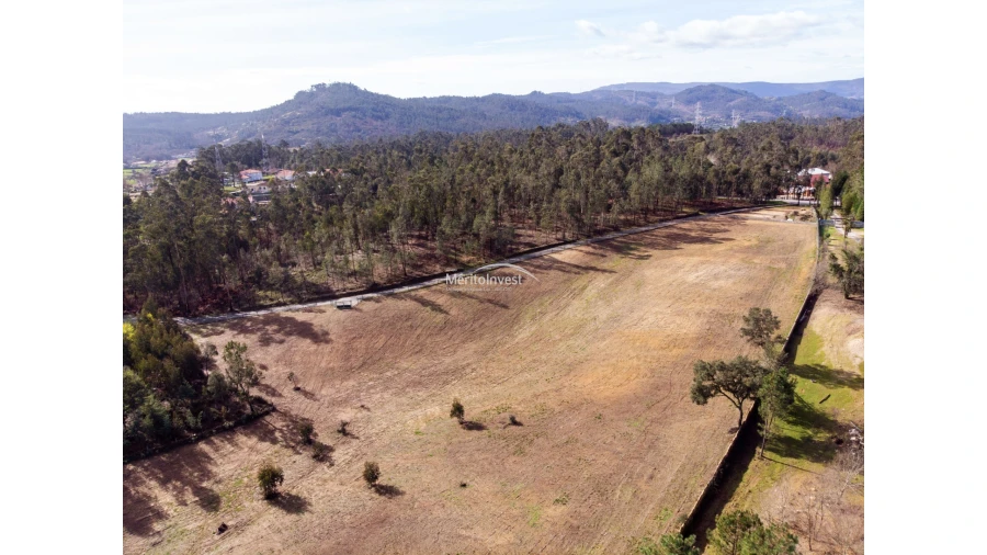 Terreno para Venda em Associação de Freguesias do Vale do Neiva Foto 2