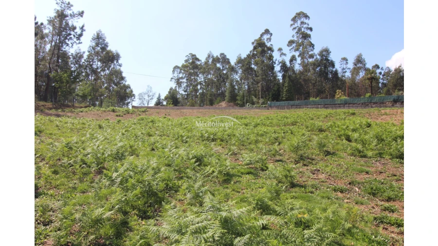 Terreno para Venda em Associação de Freguesias do Vale do Neiva Foto 7
