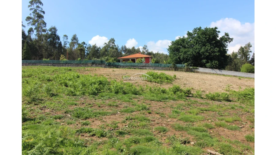Terreno para Venda em Associação de Freguesias do Vale do Neiva Foto 10