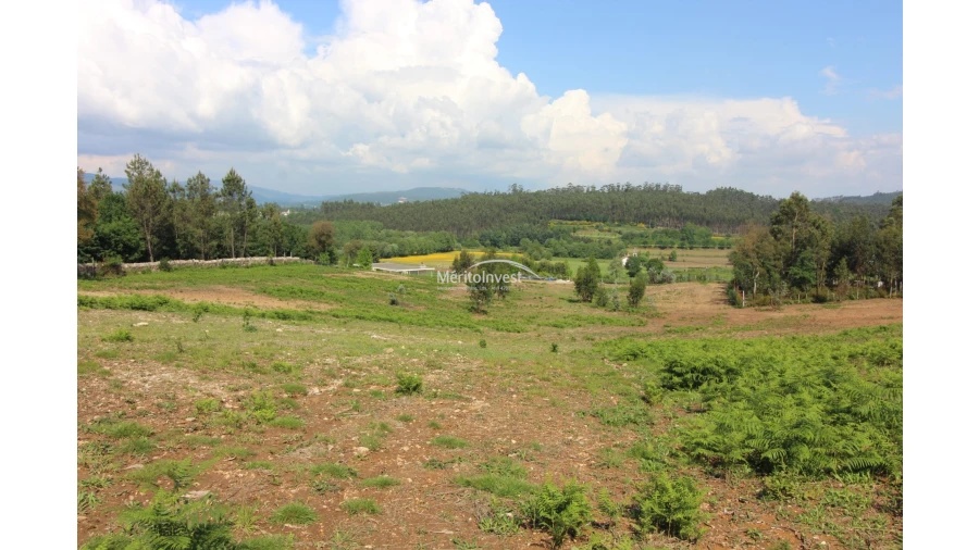 Terreno para Venda em Associação de Freguesias do Vale do Neiva Foto 6