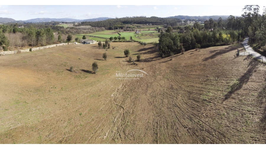 Terreno para Venda em Associação de Freguesias do Vale do Neiva Foto 11