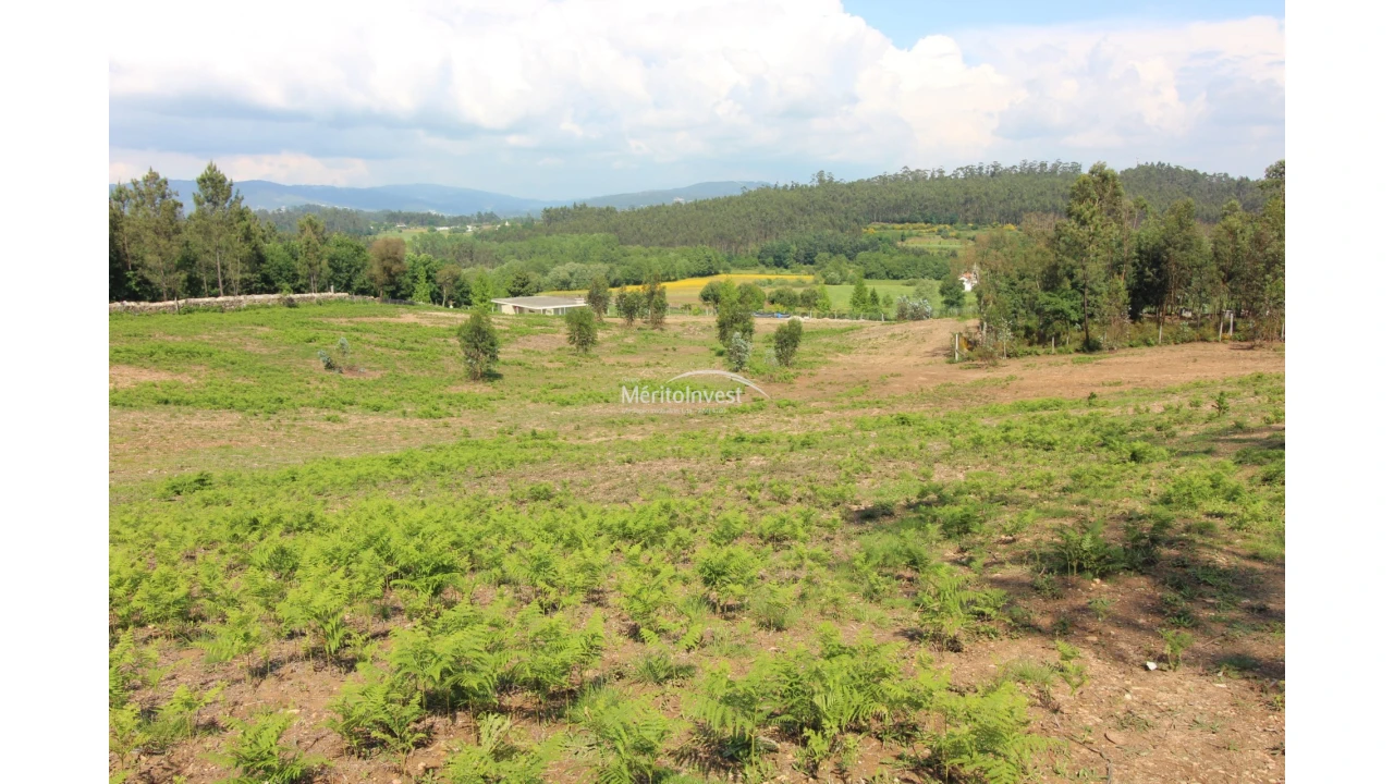 Terreno para Venda em Associação de Freguesias do Vale do Neiva Foto 4