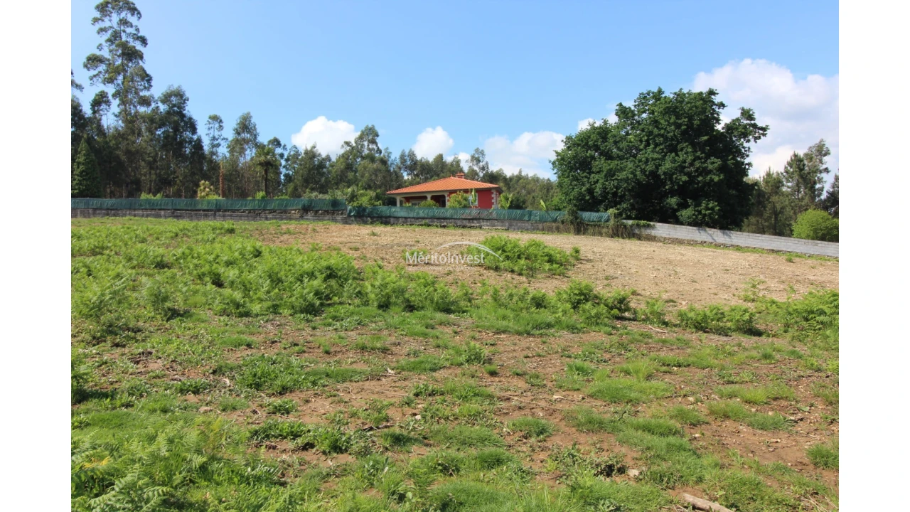Terreno para Venda em Associação de Freguesias do Vale do Neiva Foto 10