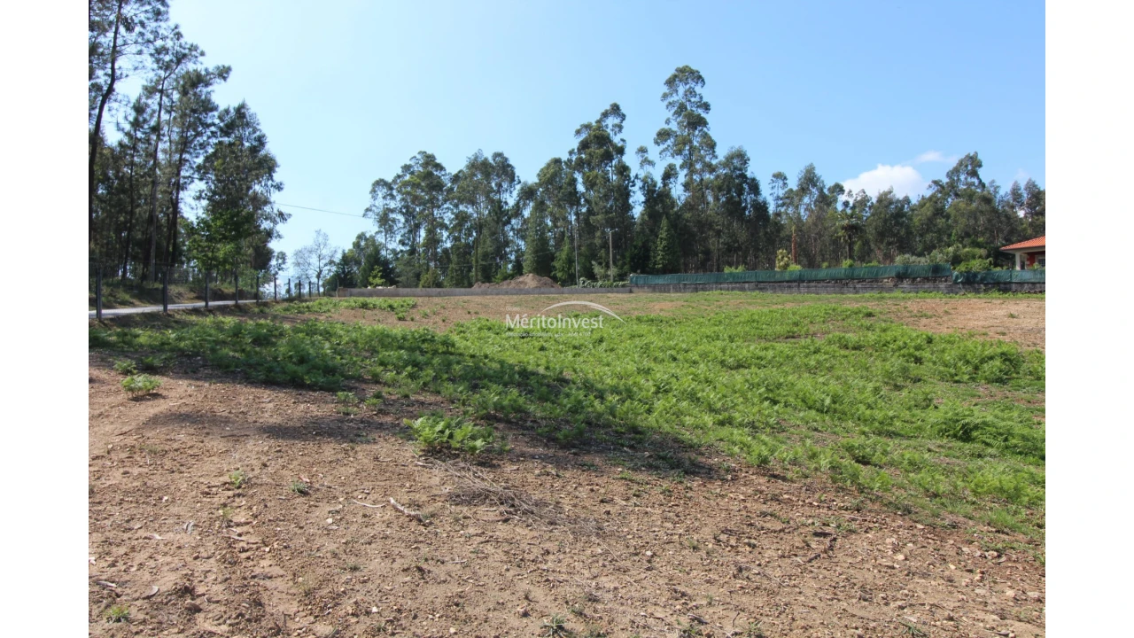 Terreno para Venda em Associação de Freguesias do Vale do Neiva Foto 5