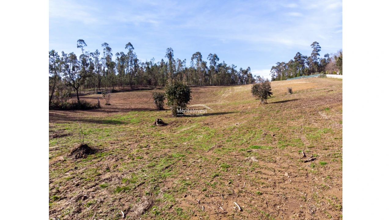 Terreno para Venda em Associação de Freguesias do Vale do Neiva Foto 3