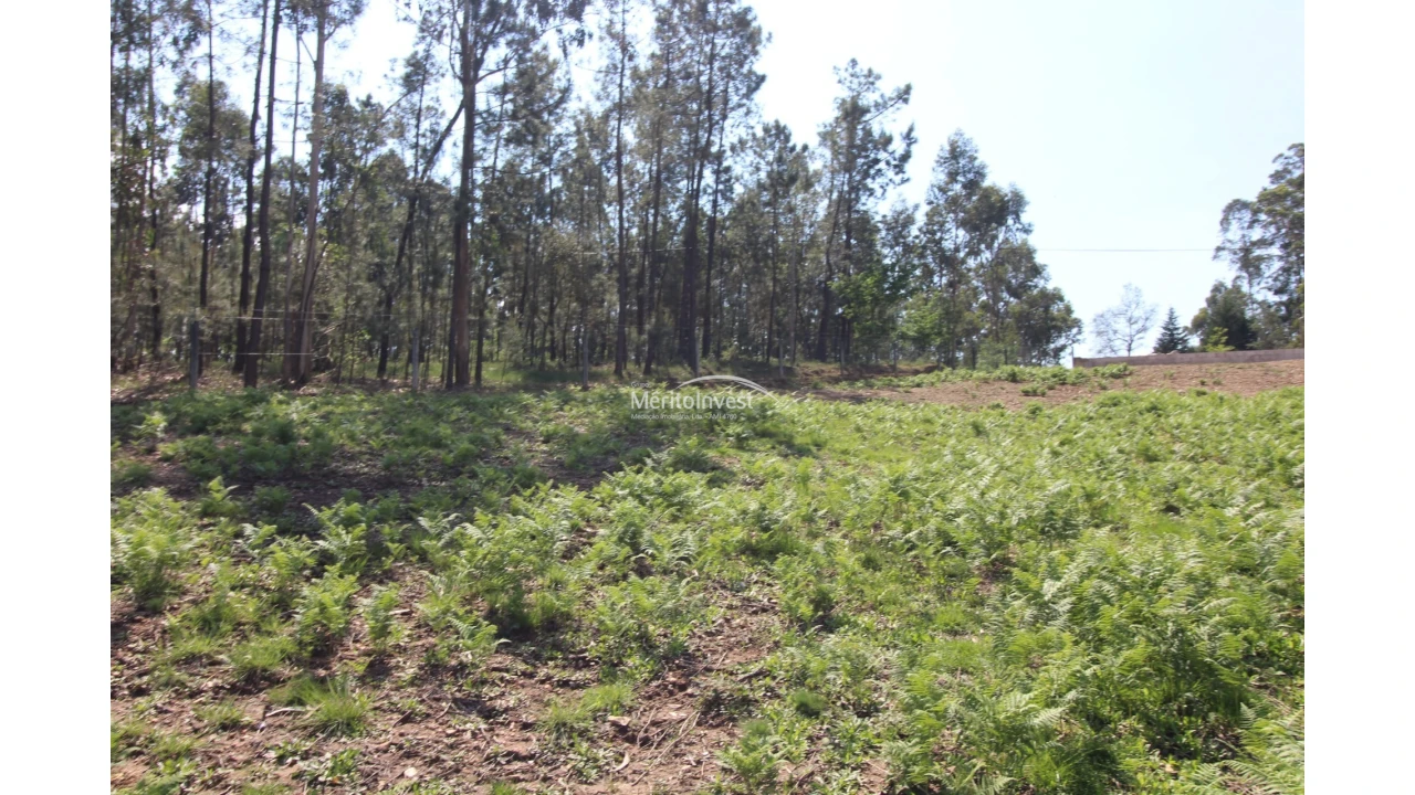 Terreno para Venda em Associação de Freguesias do Vale do Neiva Foto 8